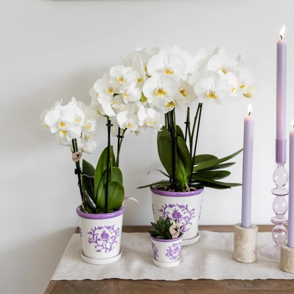 Pot décoratif Malaga Lilas