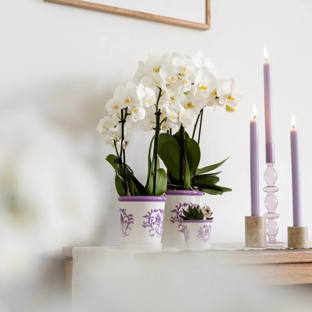 Pot décoratif Malaga Lilas