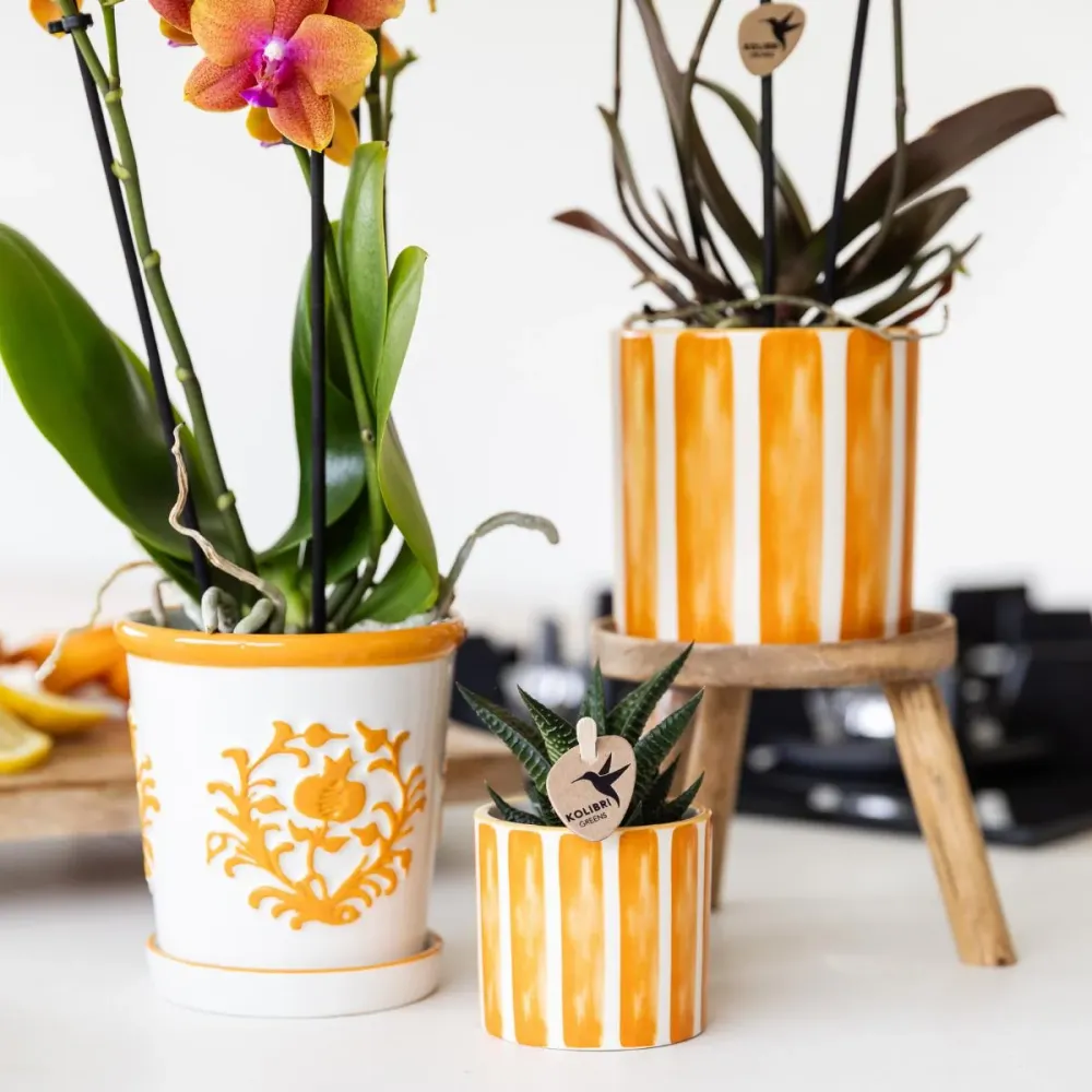 Pot décoratif Painted Stripe - Orange