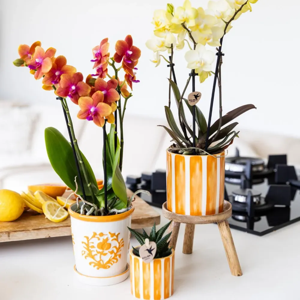 Pot décoratif Painted Stripe - Orange