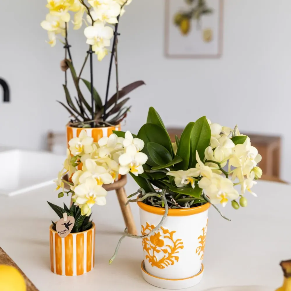 Pot décoratif Painted Stripe - Orange