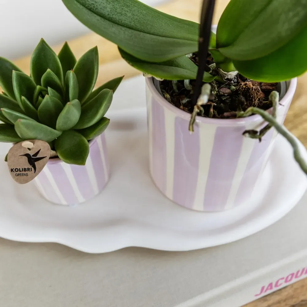 Pot décoratif Painted Stripe - Rose