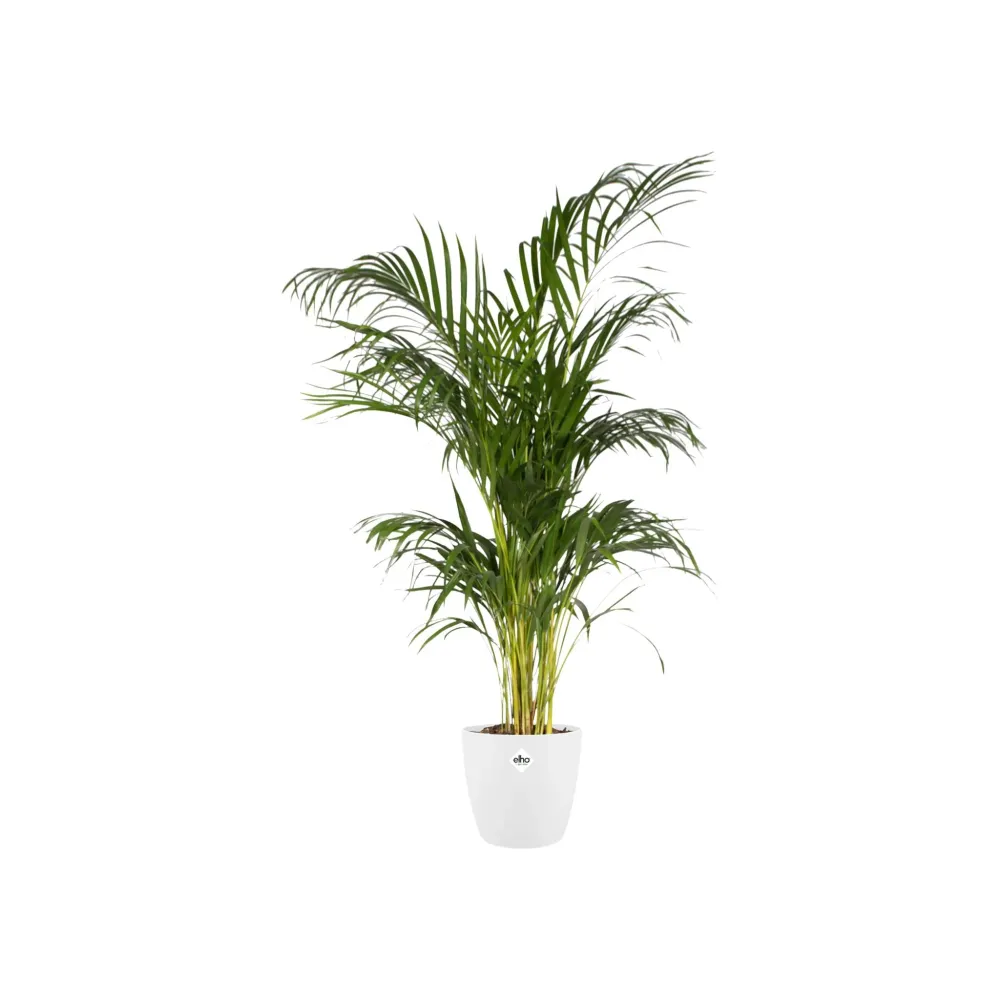 Pot elho Brussels Rond Blanc 20 cm