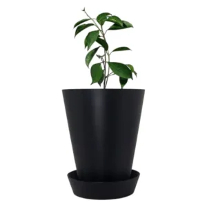 Pot de fleur avec soucoupe Black