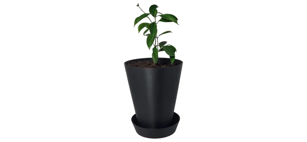 Pot de fleur avec soucoupe Black