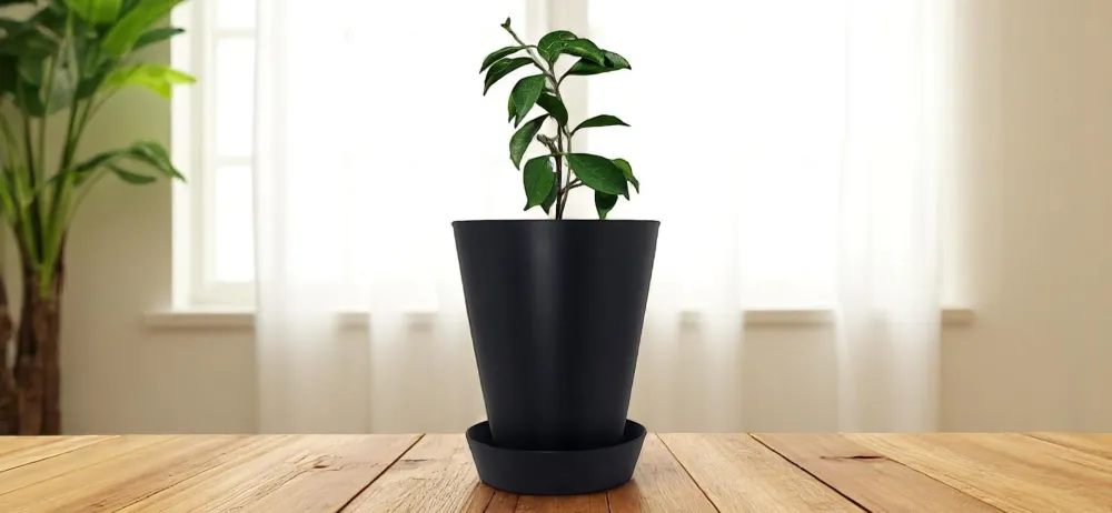 Pot de fleur avec soucoupe Black