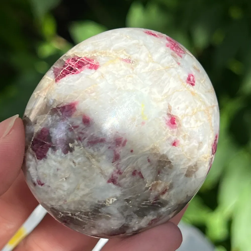 Rubéole palmiste/ tourmaline rose modèle 8