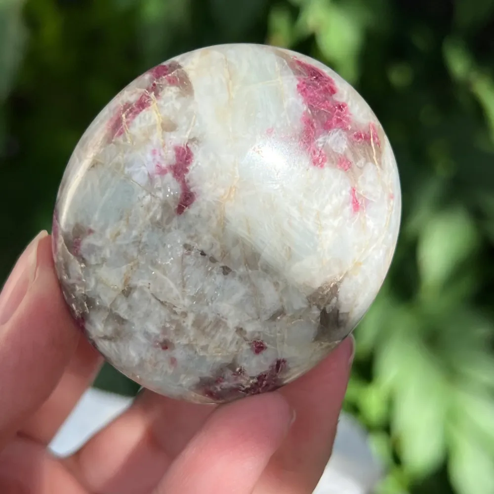 Rubéole palmiste/ tourmaline rose modèle 8