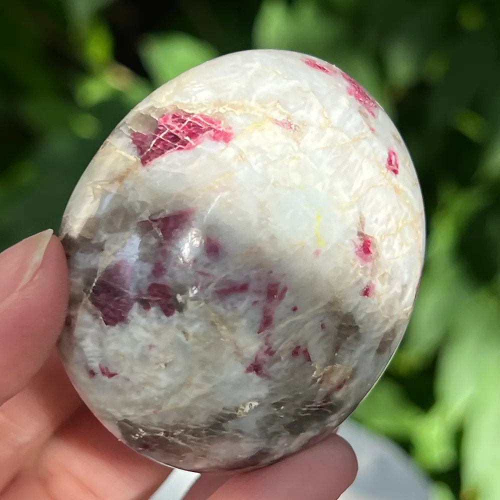 Rubéole palmiste/ tourmaline rose modèle 8