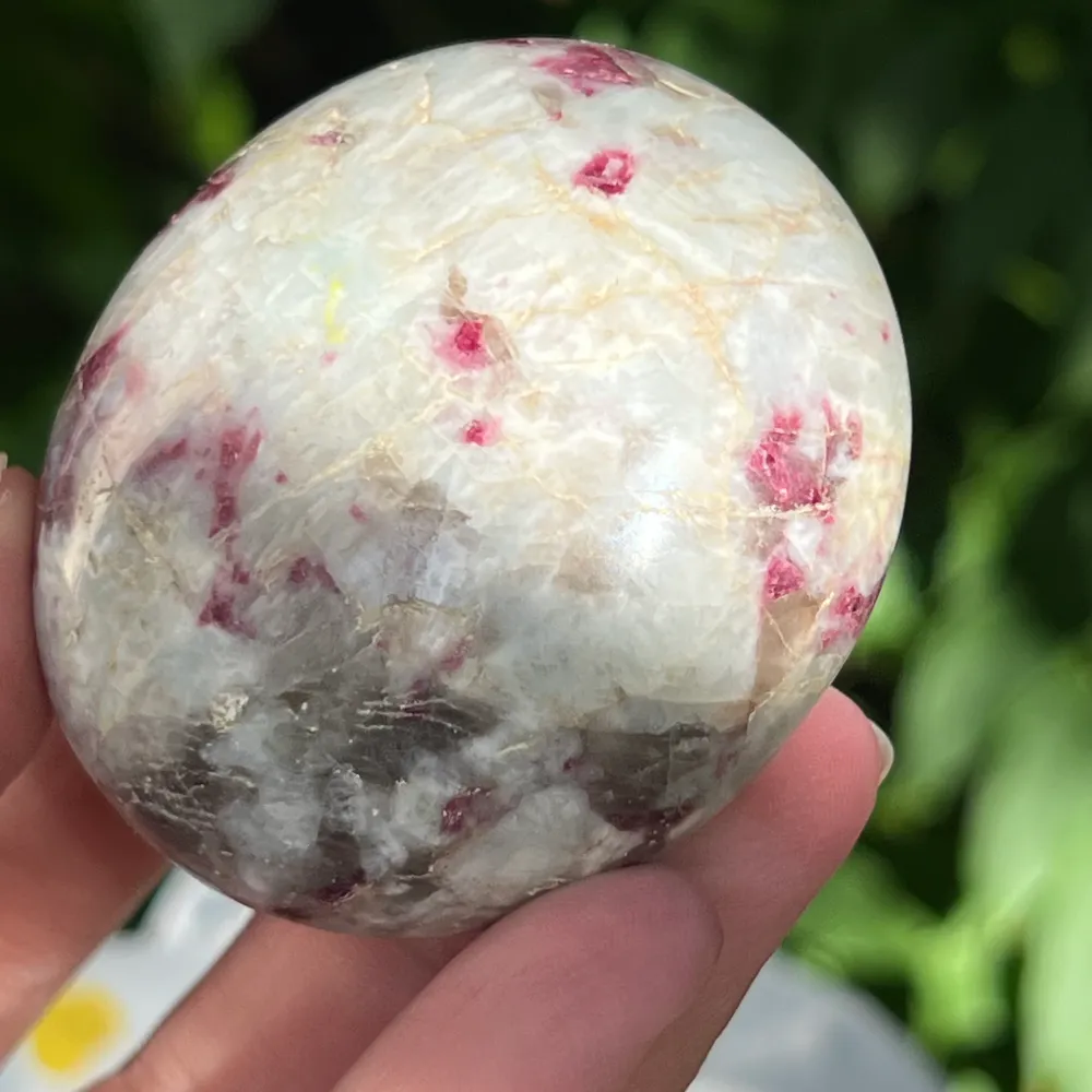 Rubéole palmiste/ tourmaline rose modèle 8