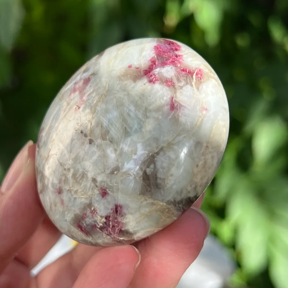Rubéole palmiste/ tourmaline rose modèle 8
