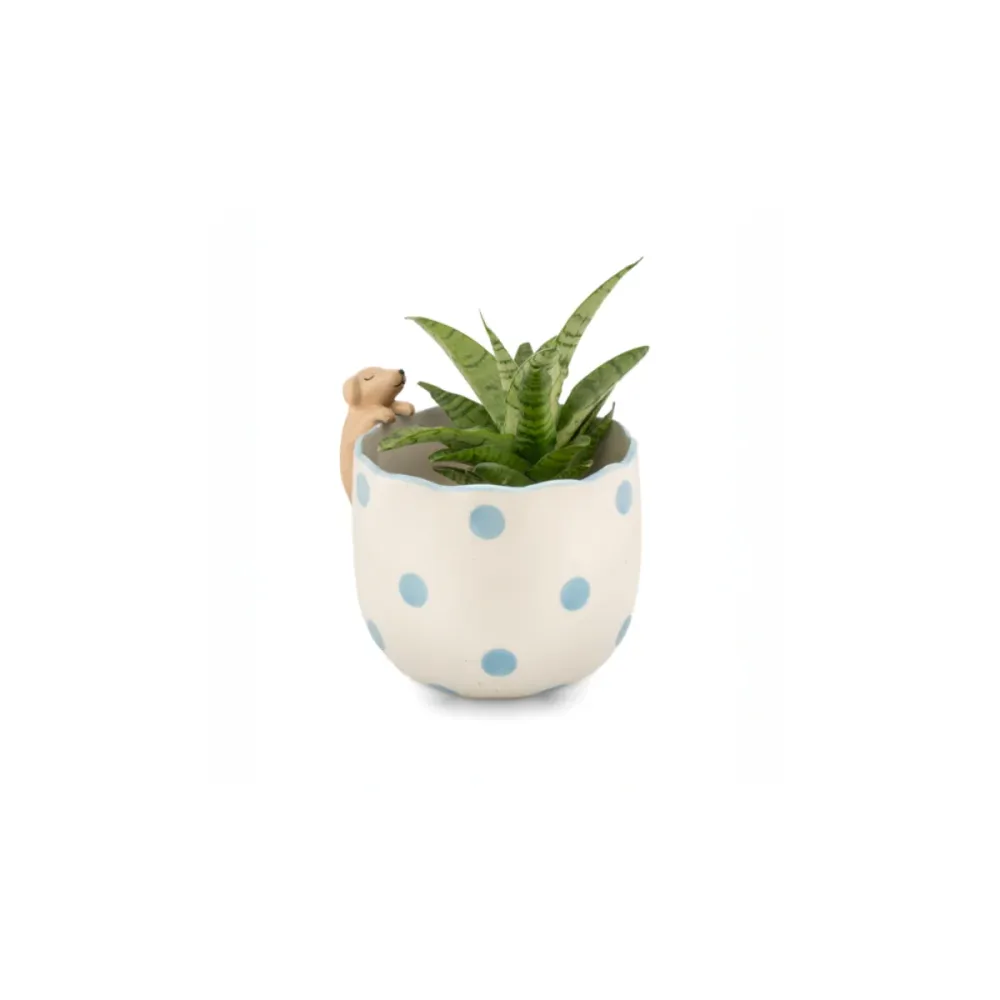 Pot peeking Dog Sélectionné par Fleux