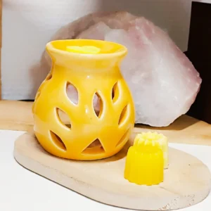 Fondants Parfumés Citronnelle anti-Moustique Sérénity Bougies