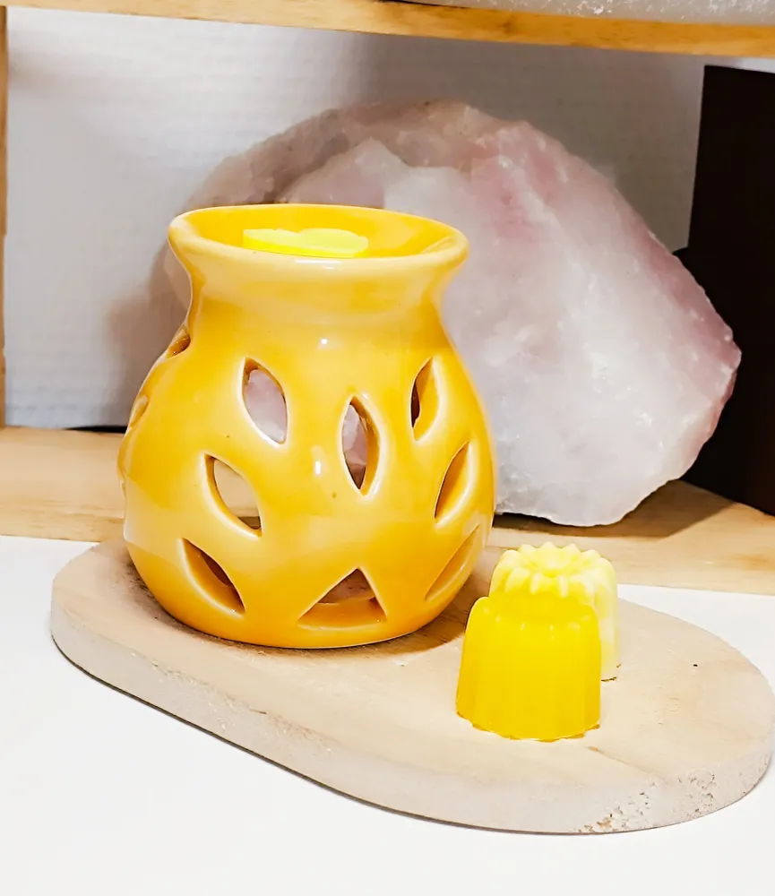 Fondants Parfumés Citronnelle anti-Moustique Sérénity Bougies