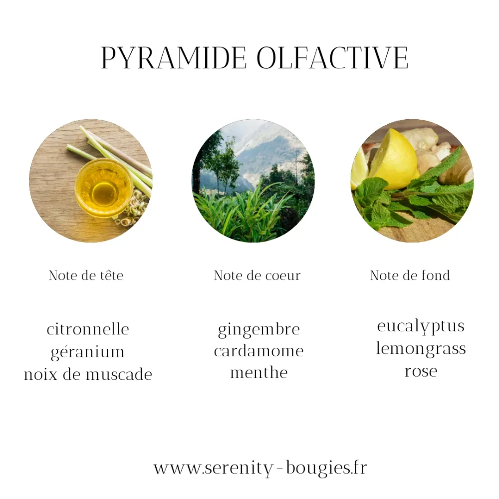 Fondants Parfumés Citronnelle anti-Moustique Sérénity Bougies