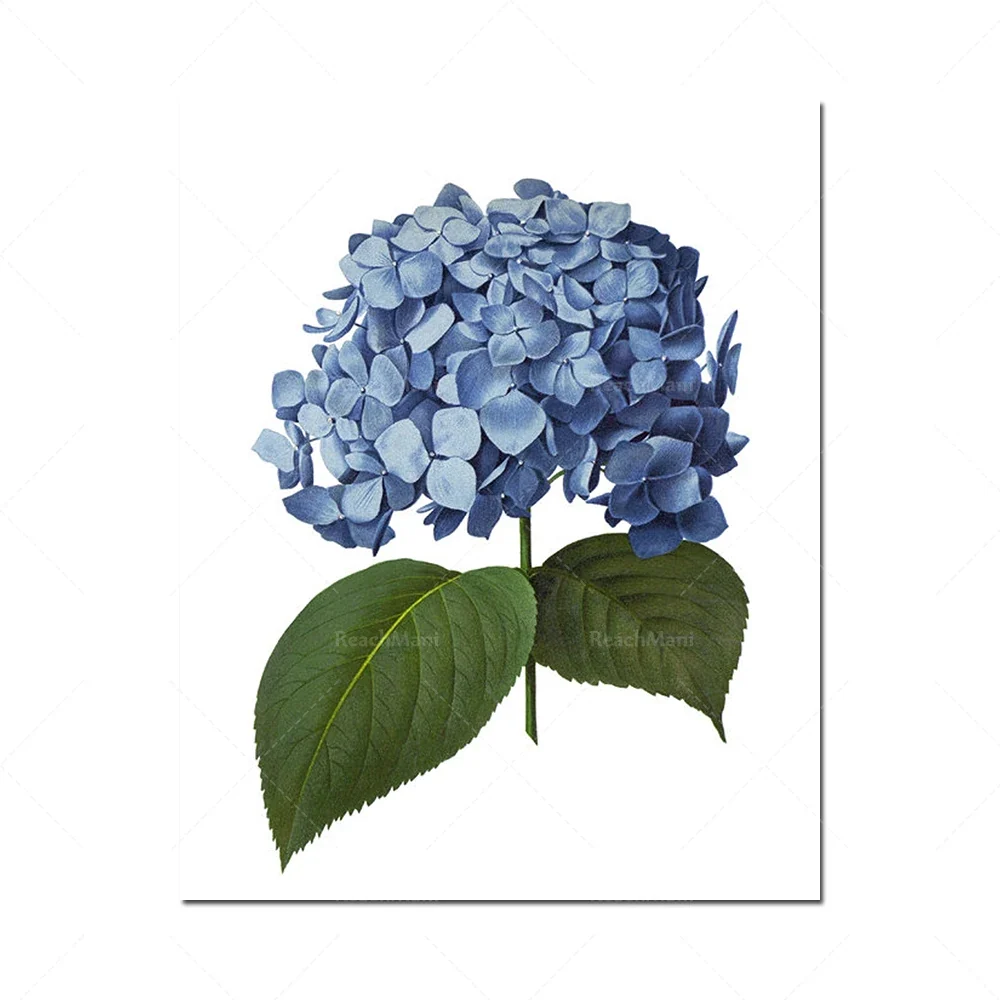 Set 4 toiles fleurs bleues imprimées toile coton rétro