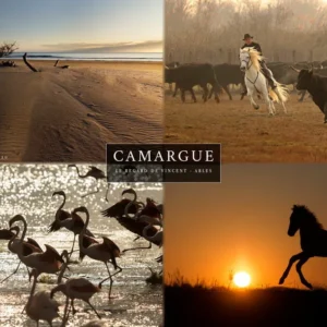 Set 4 vues de Camargue : Flamant rose, chevaux, taureau et plage du Grand Radeau
