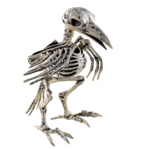 squelette de corbeau 20cm