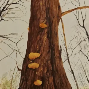 Standing tall - Fungi and all