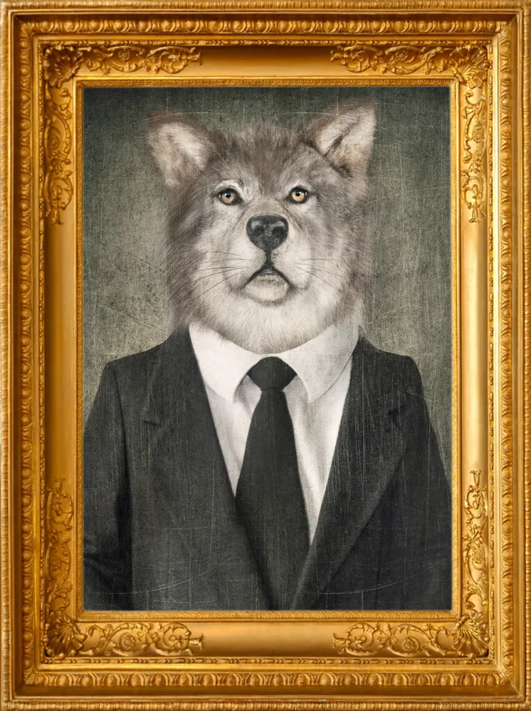 Sticker adhésif Loup avec cadre