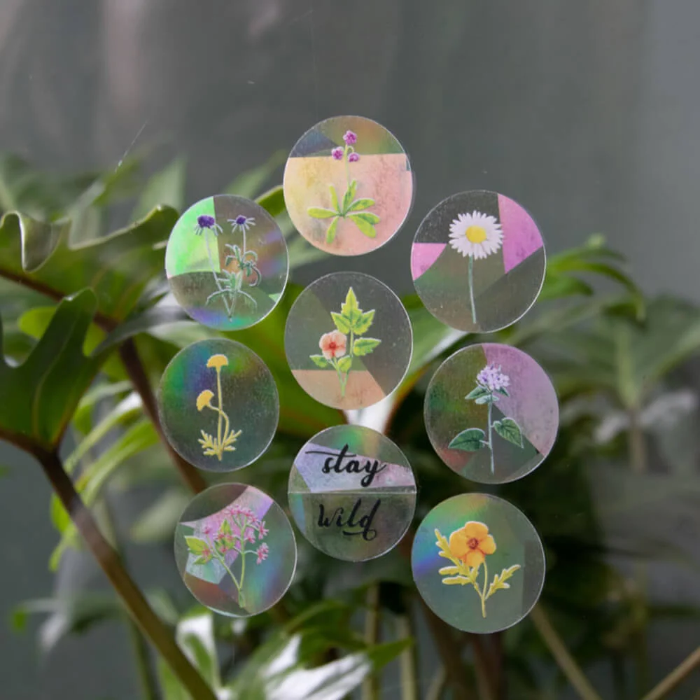 Sticker attrape-soleil - Créateur d’arc-en-ciel - Reste Sauvage - Botanopia