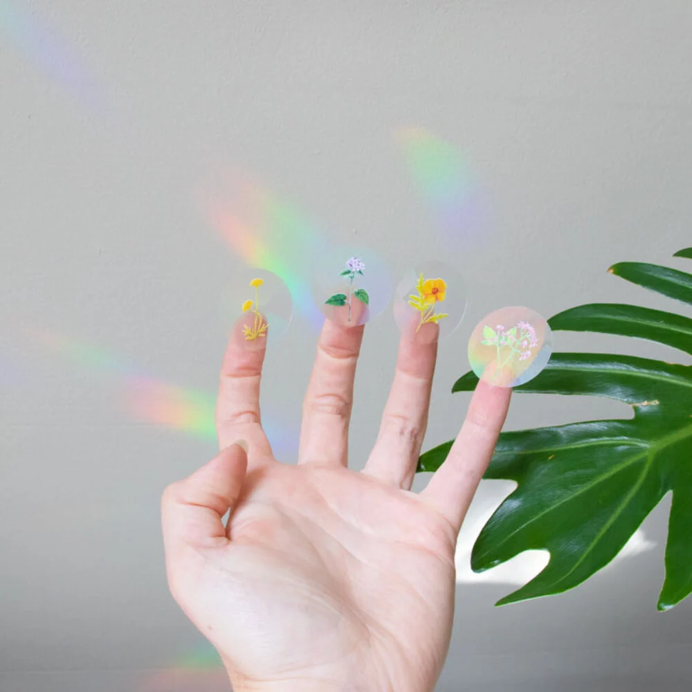 Sticker attrape-soleil - Créateur d’arc-en-ciel - Reste Sauvage - Botanopia