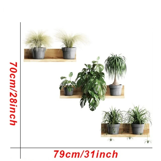 Stickers Étagère Plantes en Pot