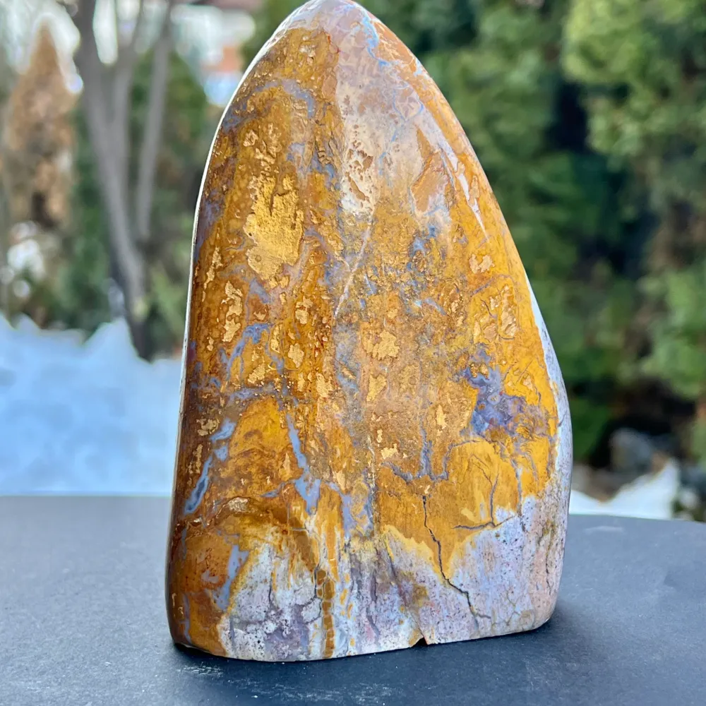 Structure de forme libre océ Jasper de Madagascar modèle AF6/2