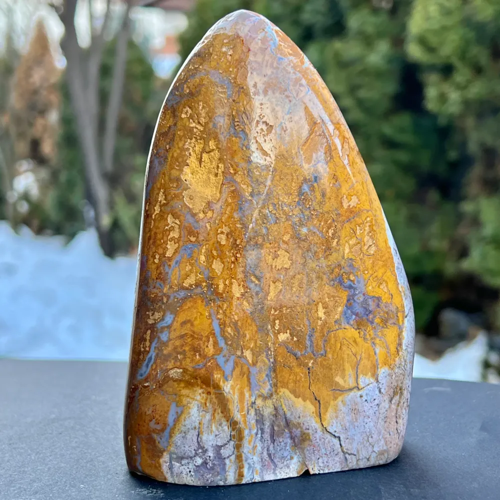 Structure de forme libre océ Jasper de Madagascar modèle AF6/2