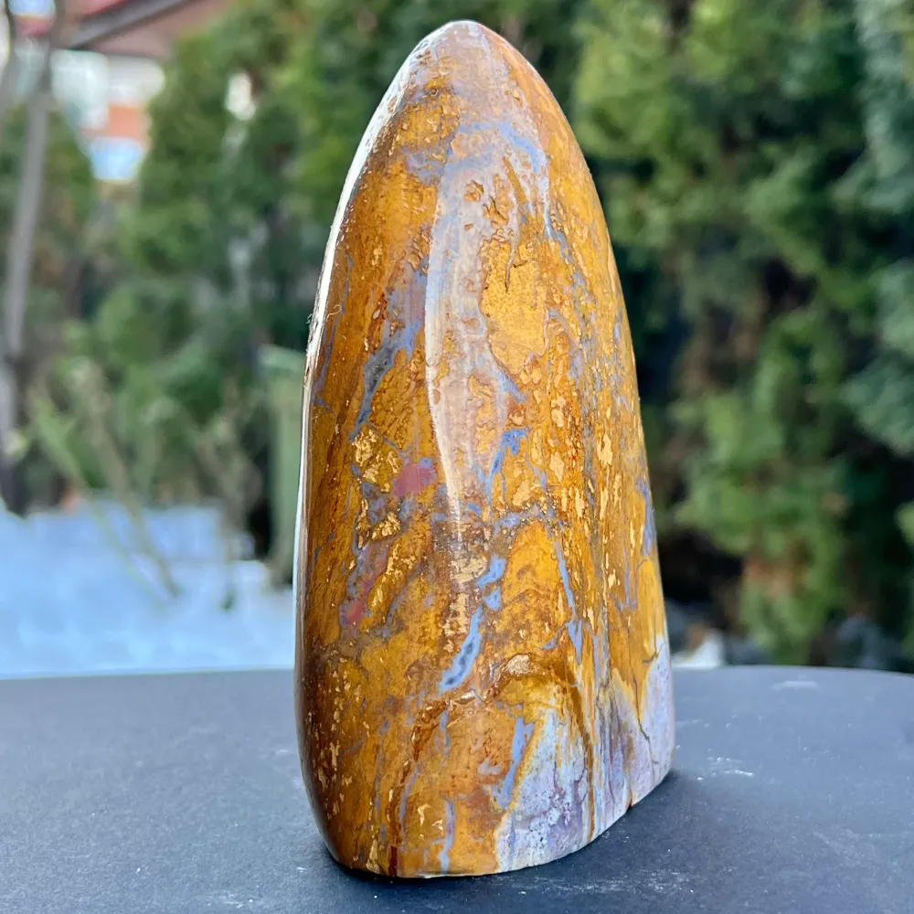 Structure de forme libre océ Jasper de Madagascar modèle AF6/2