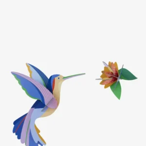 colibri Studio Roof