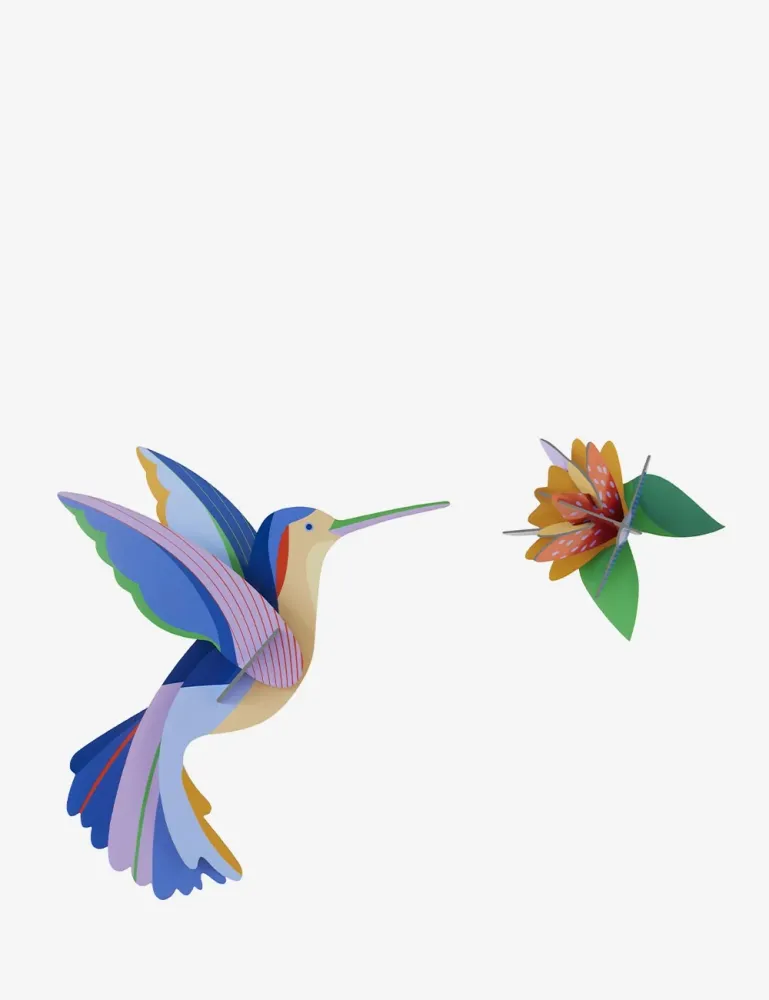 colibri Studio Roof