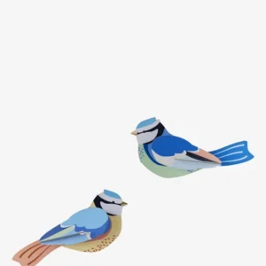mésanges bleues Studio Roof