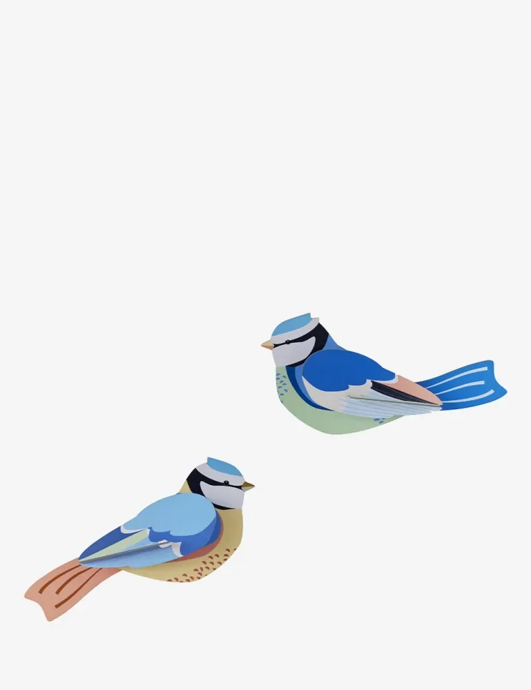 mésanges bleues Studio Roof