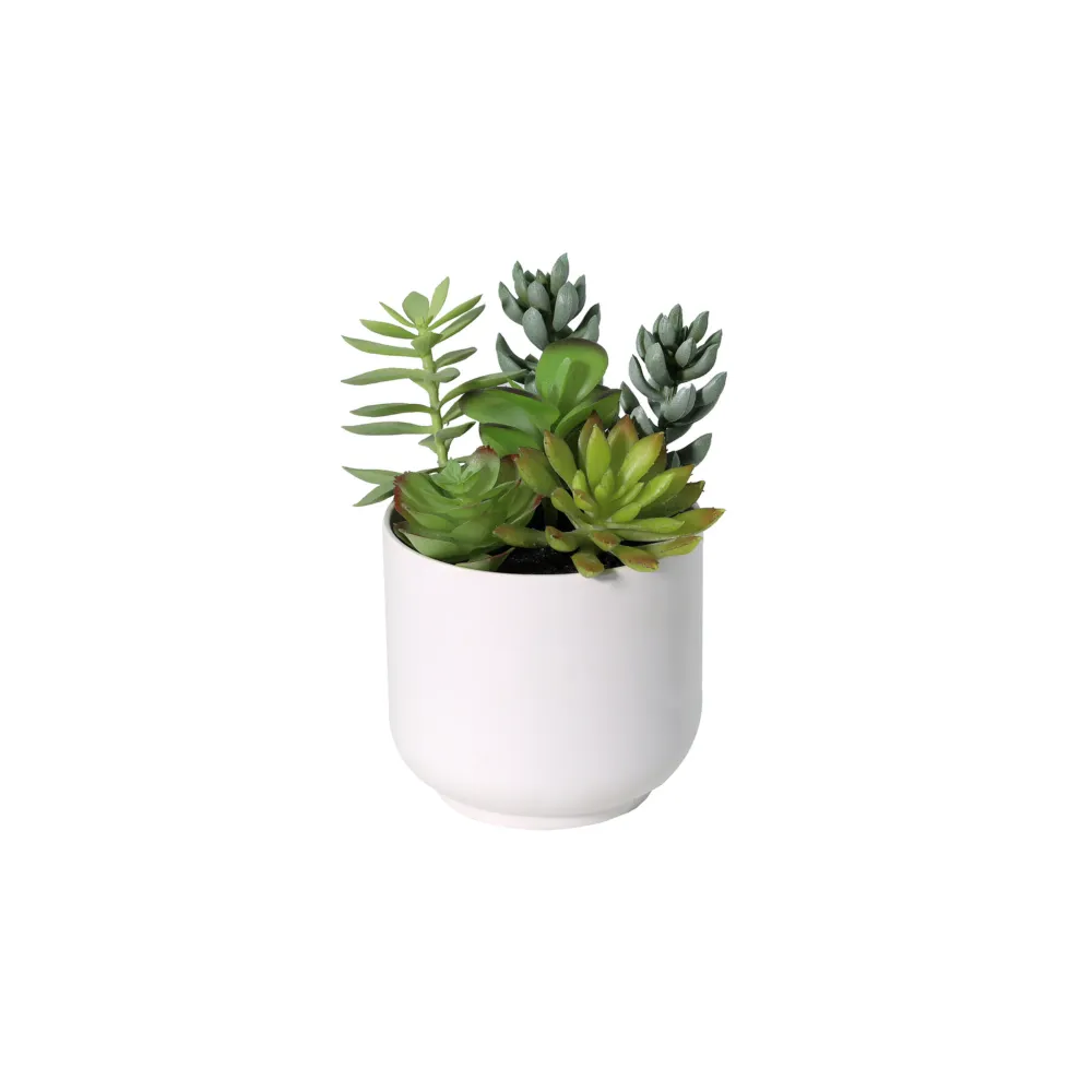 Succulentee pot inclus plante artificielle h19cm