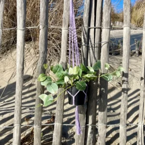 Suspension pour plantes en macramé violette