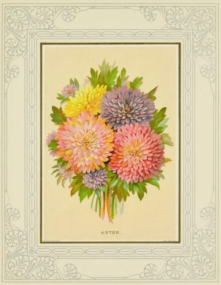 Tableau Aster - Marcus Ward & Co. | Reproduction