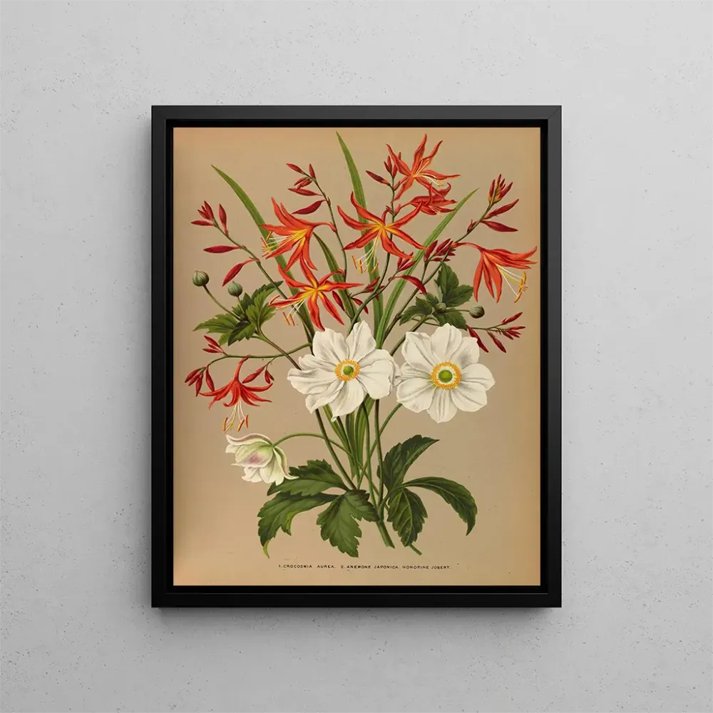Tableau Crocosmia aurea 2 émone japonica Honorine Jobert - Arentina Hendrica Arendsen | Reproduction