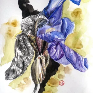 Tableau encadré aquarelle les iris