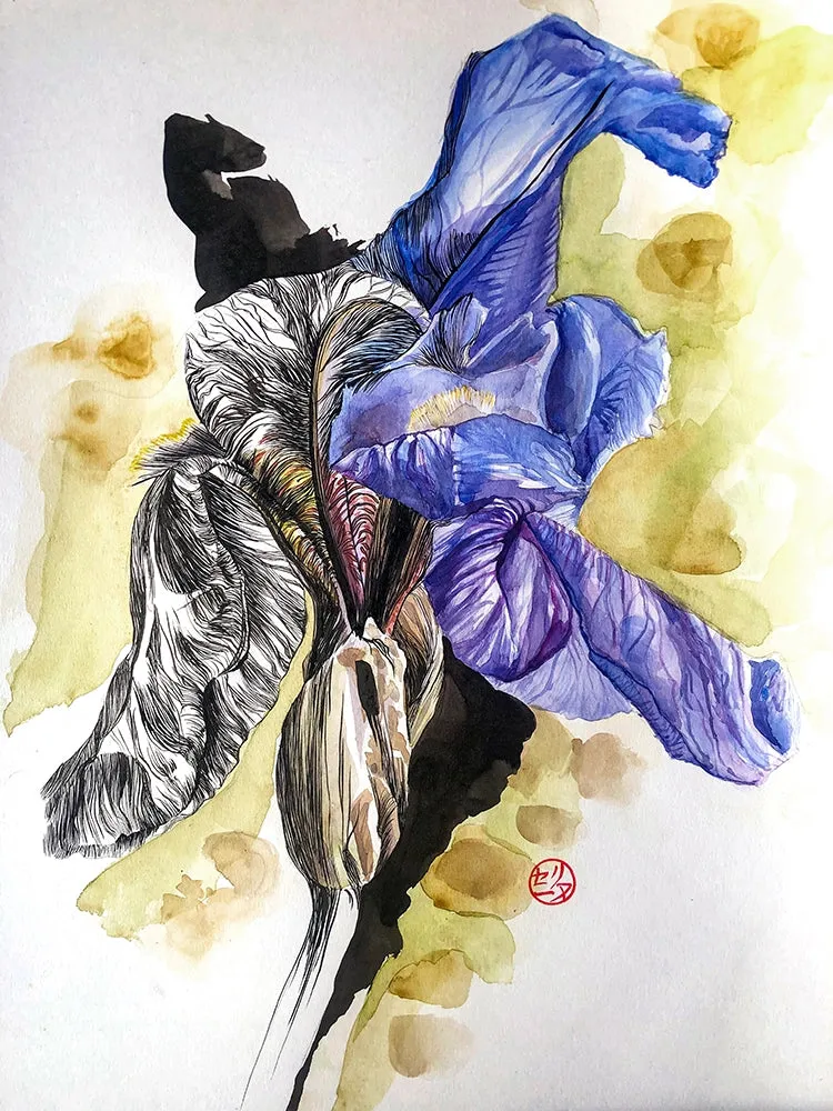 Tableau encadré aquarelle les iris