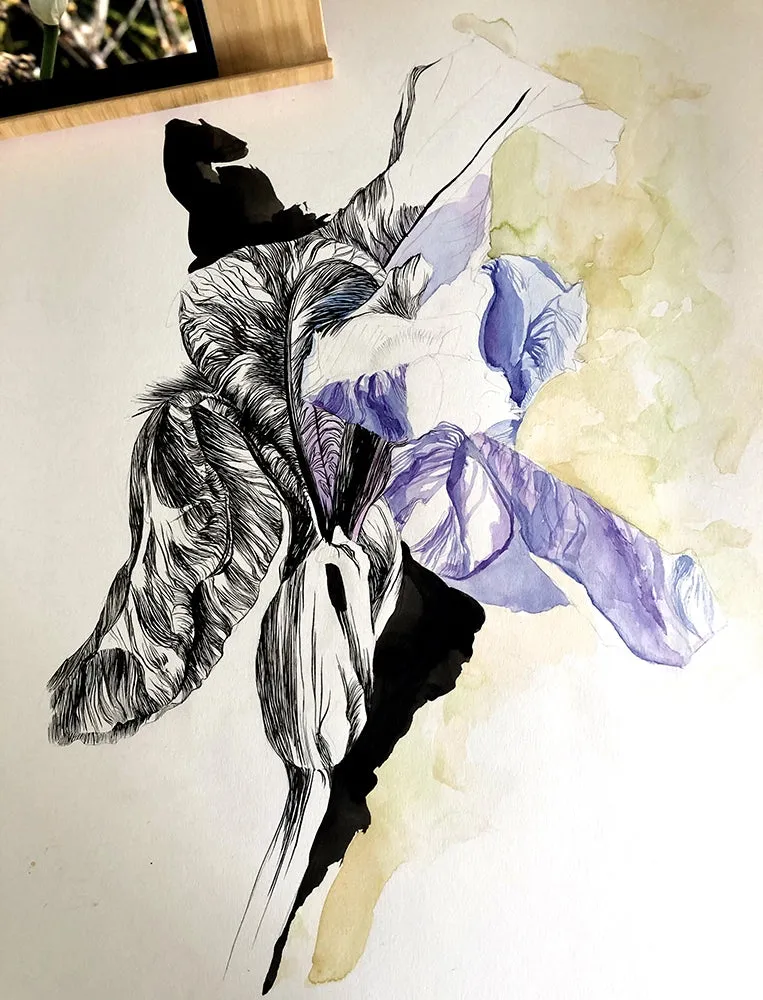 Tableau encadré aquarelle les iris