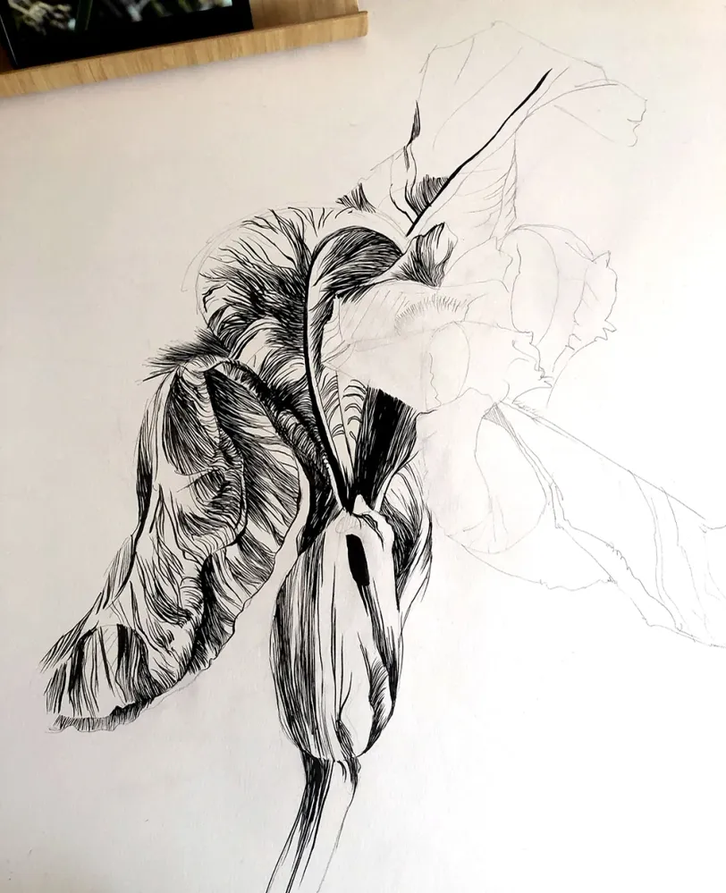 Tableau encadré aquarelle les iris