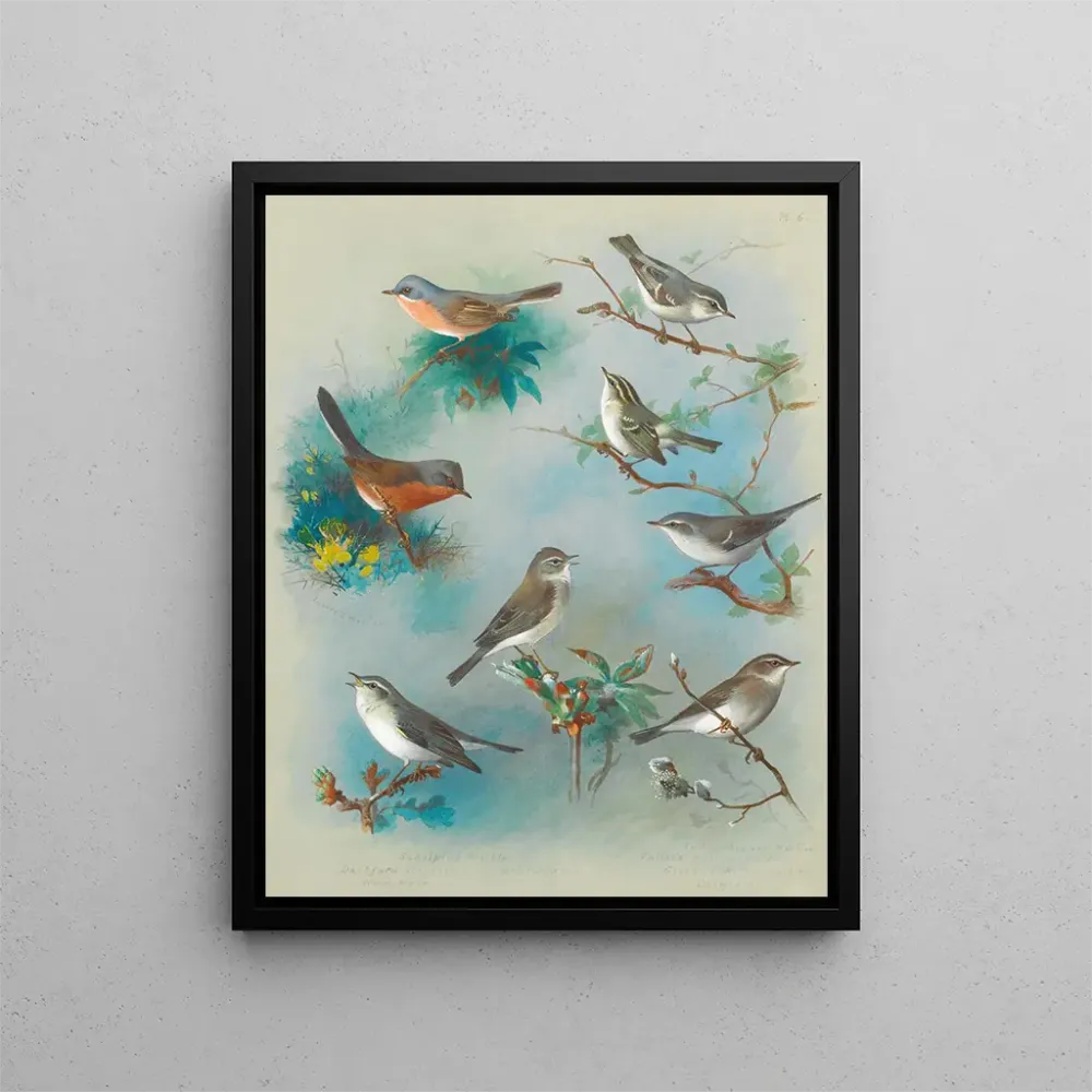 Tableau Fauvettes et troglodytes - Archibald Thorburn | Reproduction