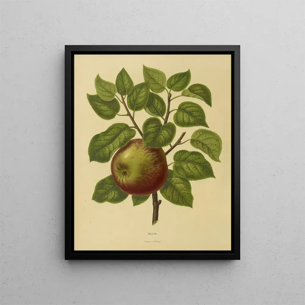 Tableau Flore hollandaise et Pomone PL20 - Abraham Jacobus Wendel | Reproduction
