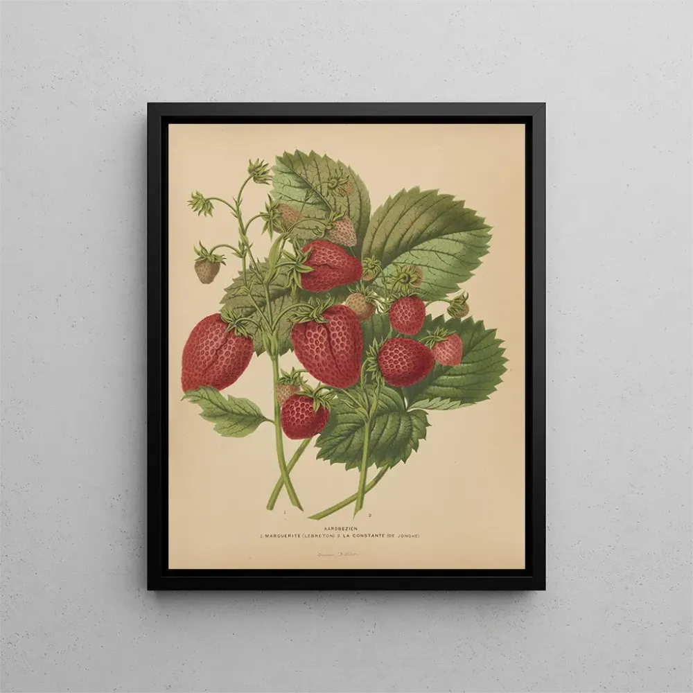 Tableau Flore hollandaise et Pomone PL48 - Abraham Jacobus Wendel | Reproduction