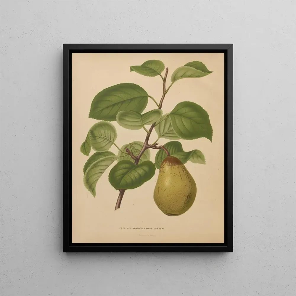 Tableau Flore hollandaise et Pomone PL55 - Abraham Jacobus Wendel | Reproduction