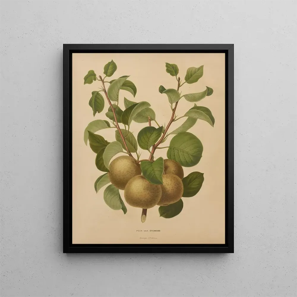 Tableau Flore hollandaise et Pomone PL63 - Abraham Jacobus Wendel | Reproduction