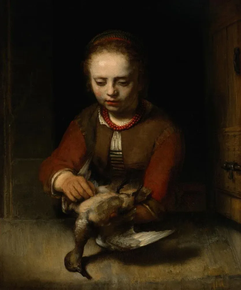 Tableau Jeune fille plumant un canard - Barent Fabritius | Reproduction