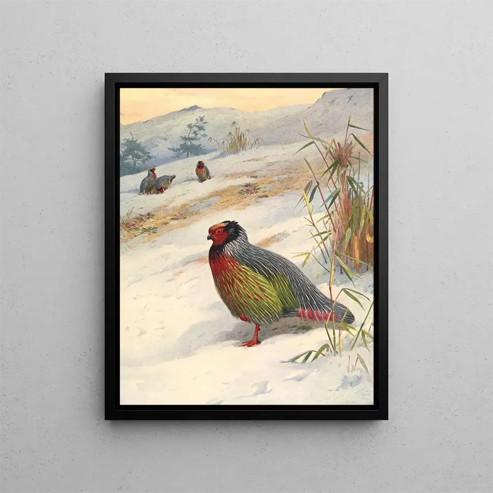 Tableau Perdrix de sang de Kusers - Archibald Thorburn | Reproduction