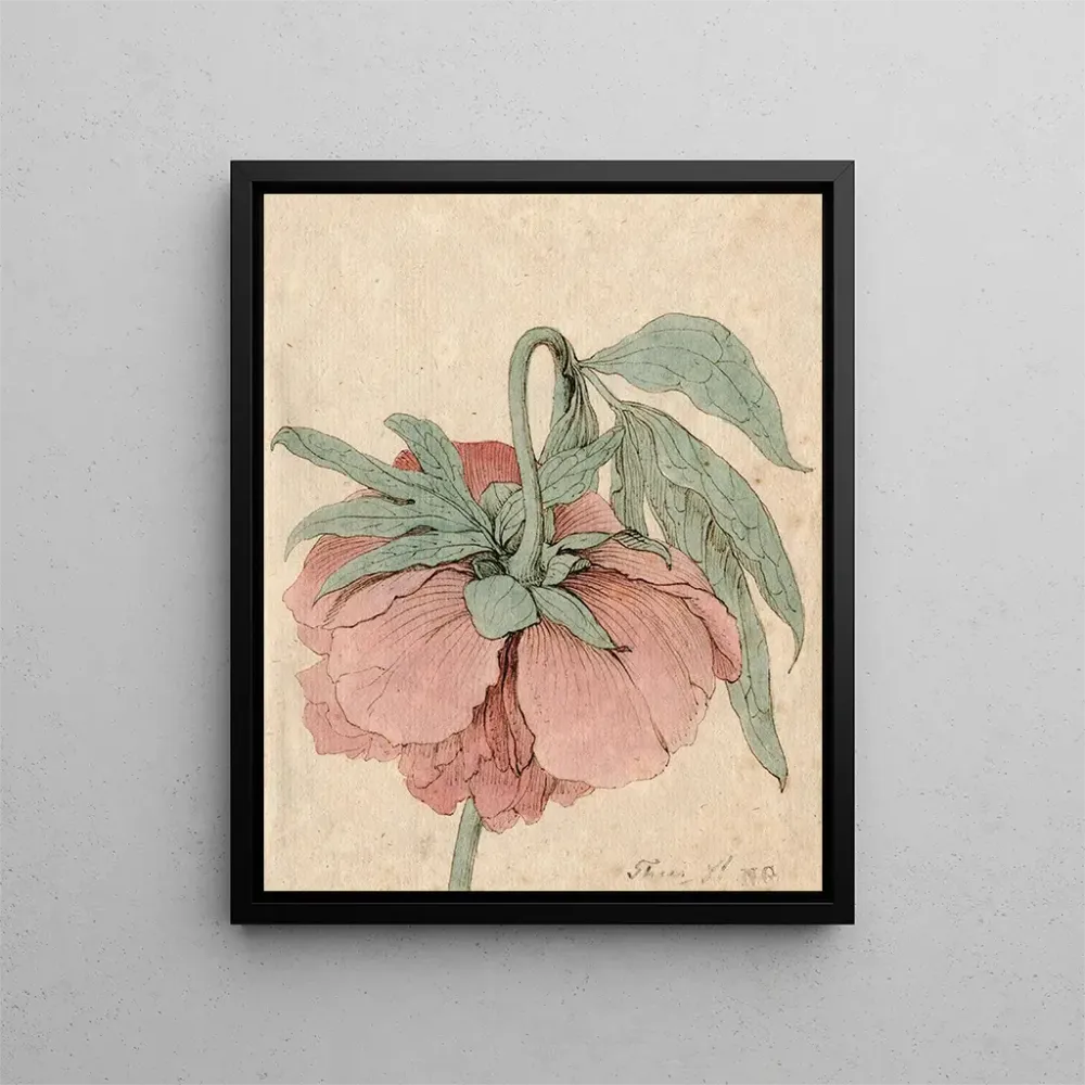 Tableau Pivoine - Barend Hendrik Thier | Reproduction